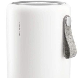 Molekule Air Mini - FDA-Cleared Medical Air Purifier with PECO Technology
